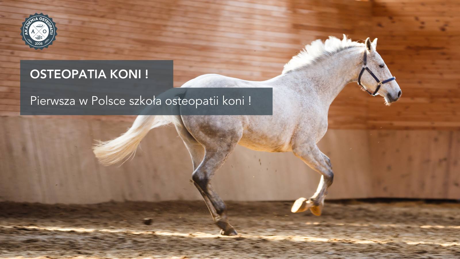 Akademia Osteopatii